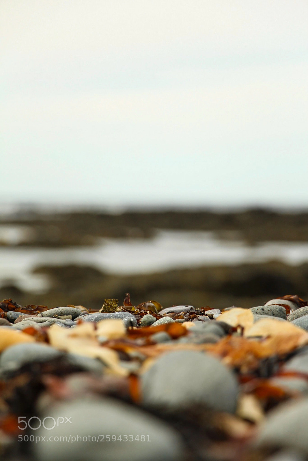 Canon EOS 700D (EOS Rebel T5i / EOS Kiss X7i) sample photo. Shore photography