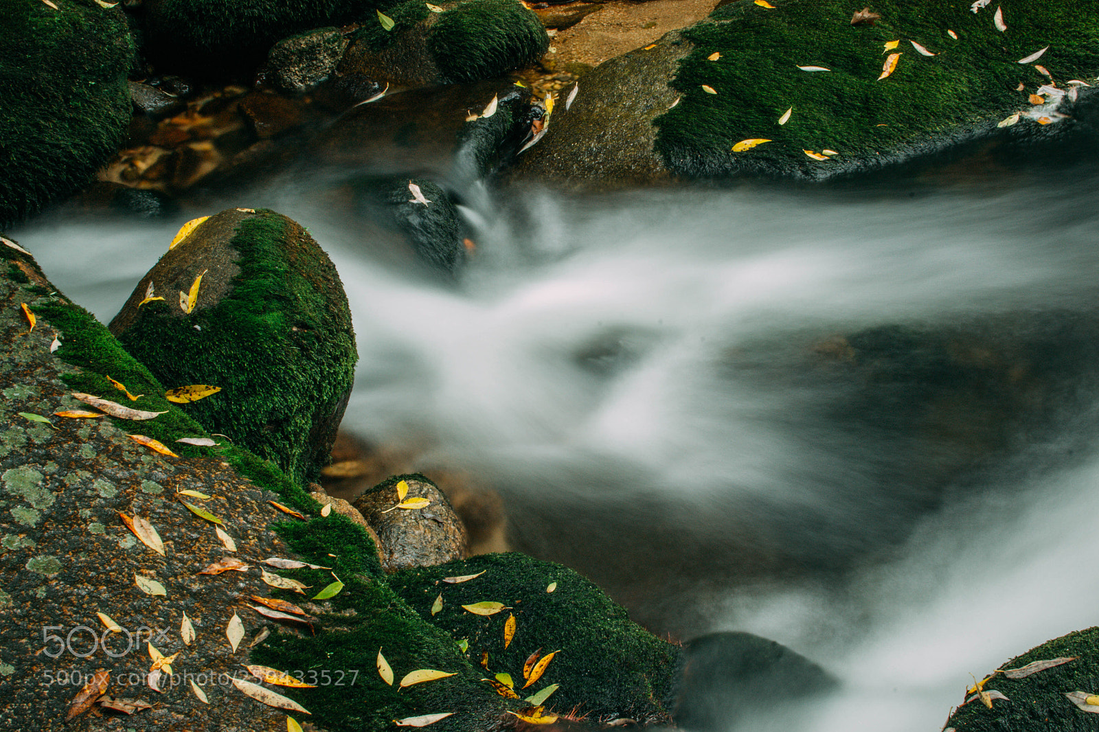 Nikon D3100 sample photo. Piece of river photography