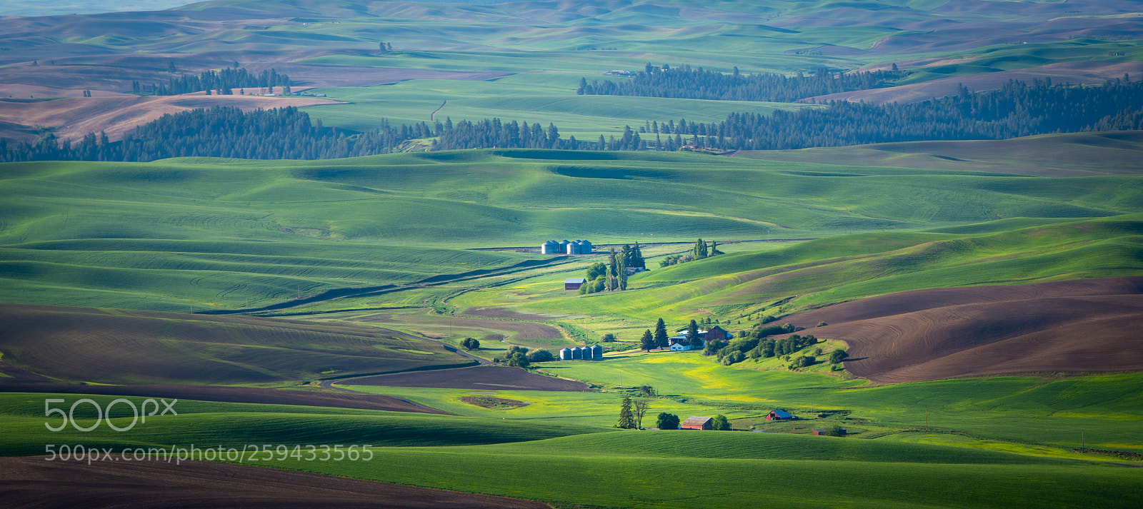 Nikon D600 sample photo. Polouse rolling hills photography