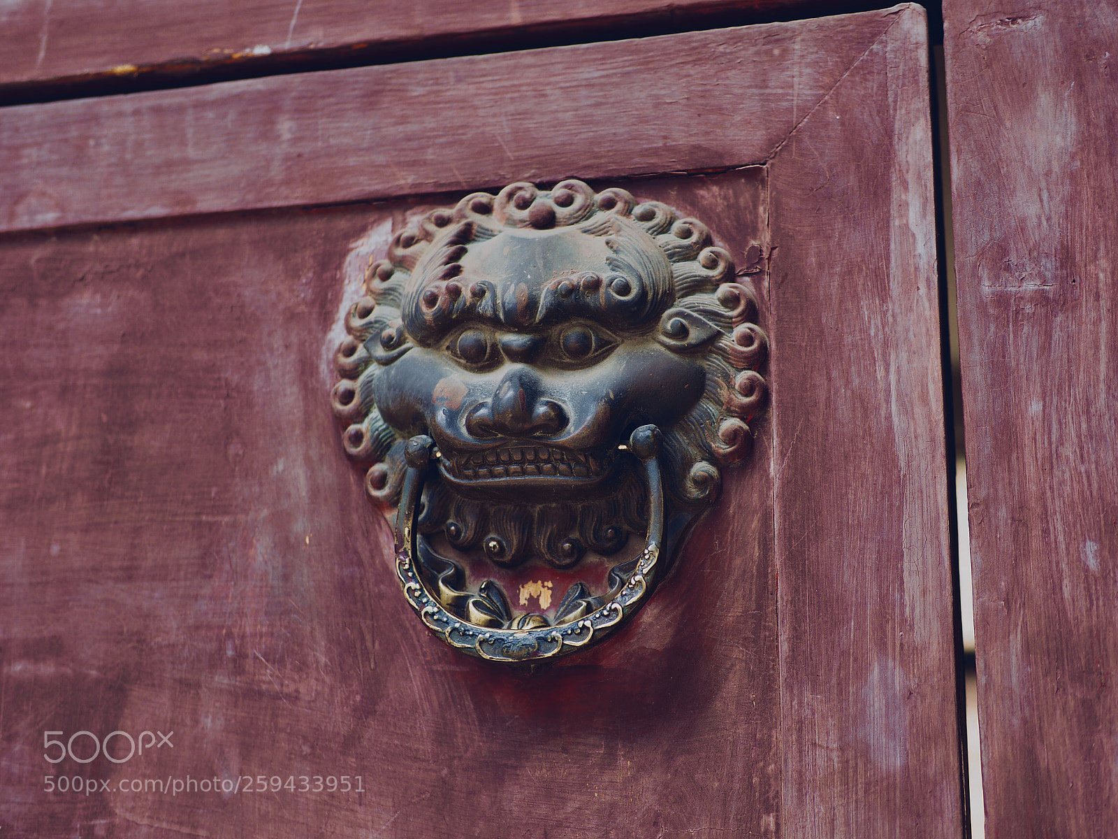 Olympus OM-D E-M10 II sample photo. 注视来客 photography