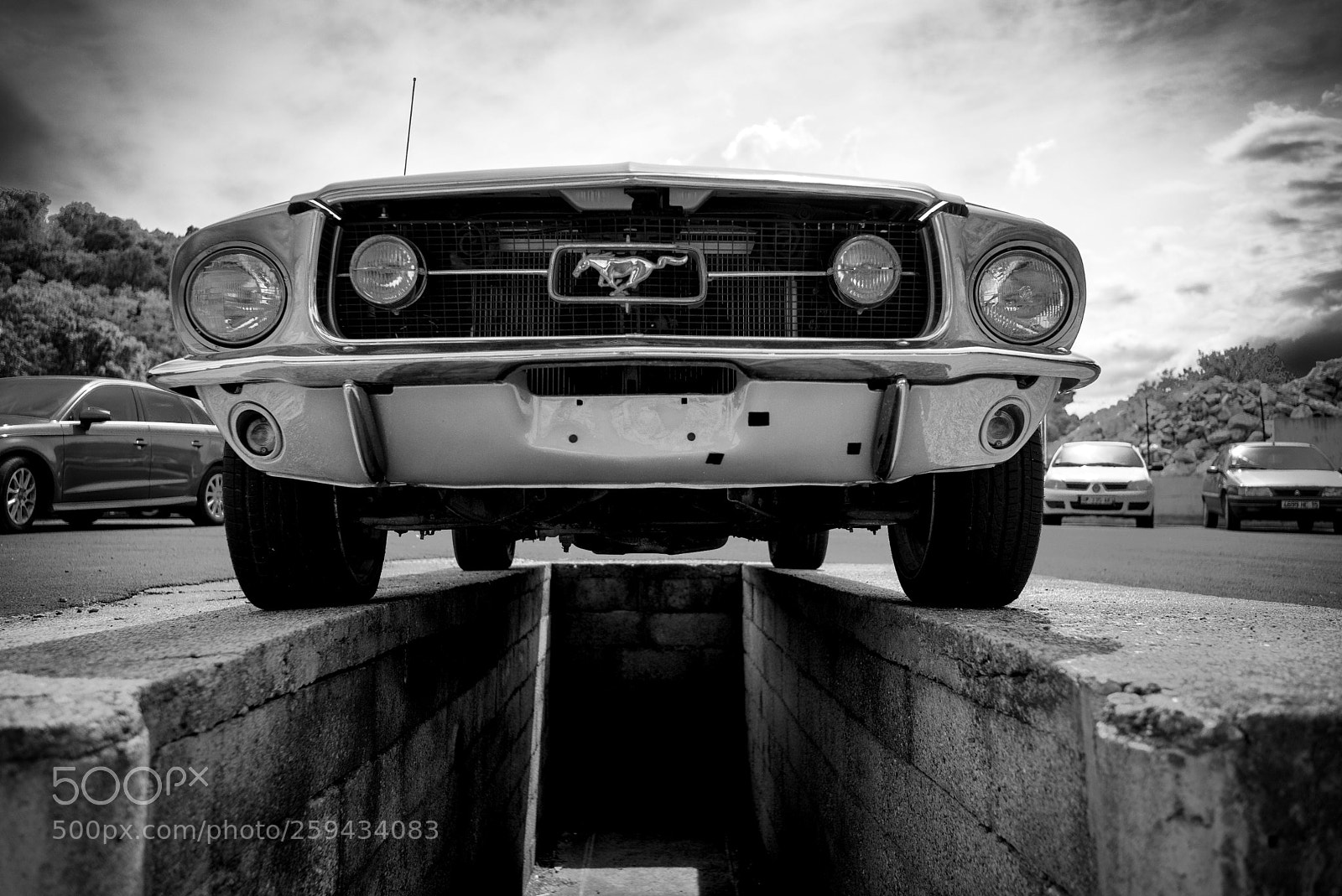 Leica M (Typ 240) sample photo. Mustang low angle view photography