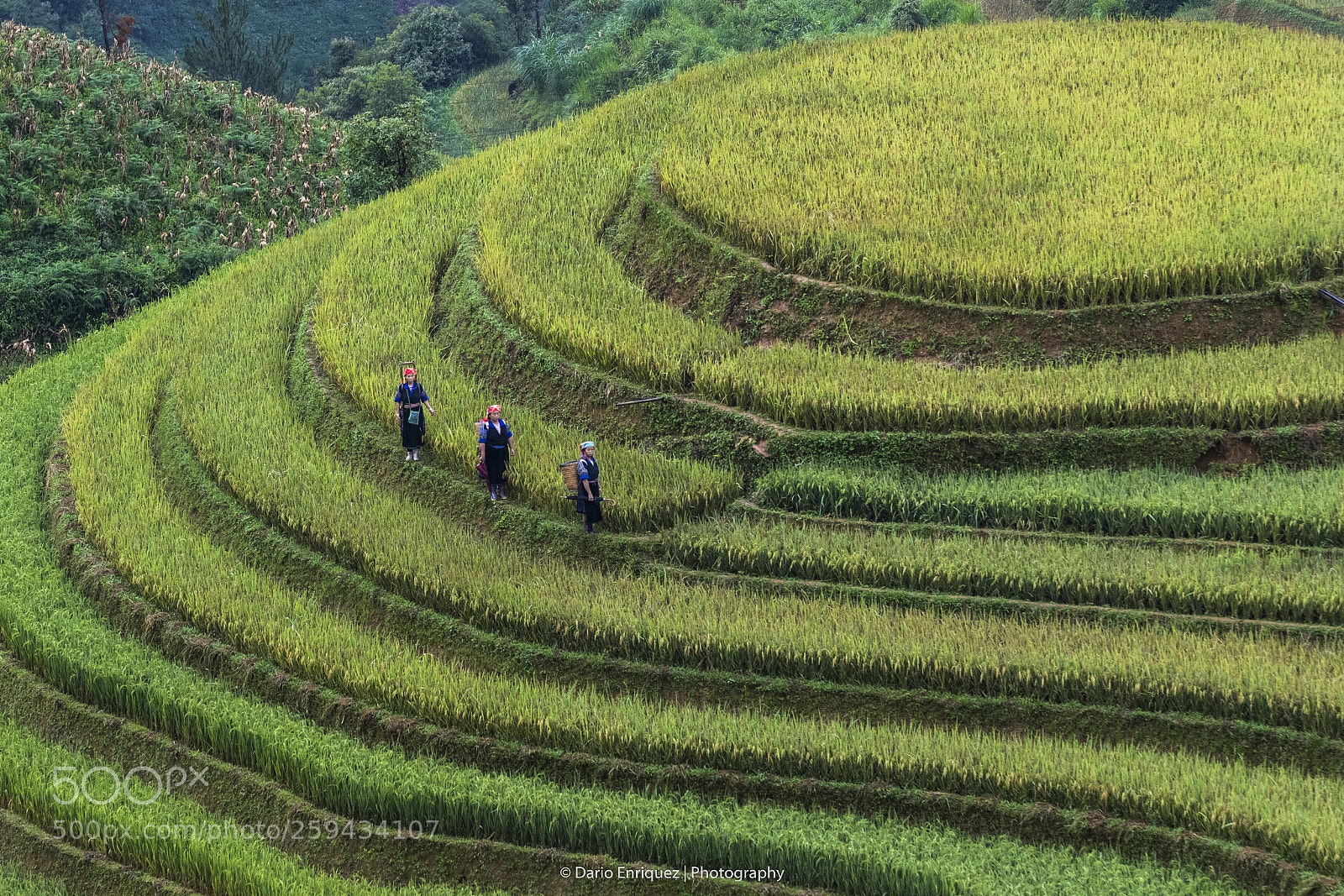 Canon EOS 7D Mark II sample photo. Sa pa, vietnam photography
