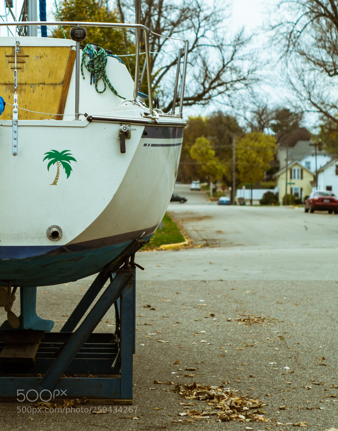 Sony SLT-A58 sample photo. Palm tree boat photography