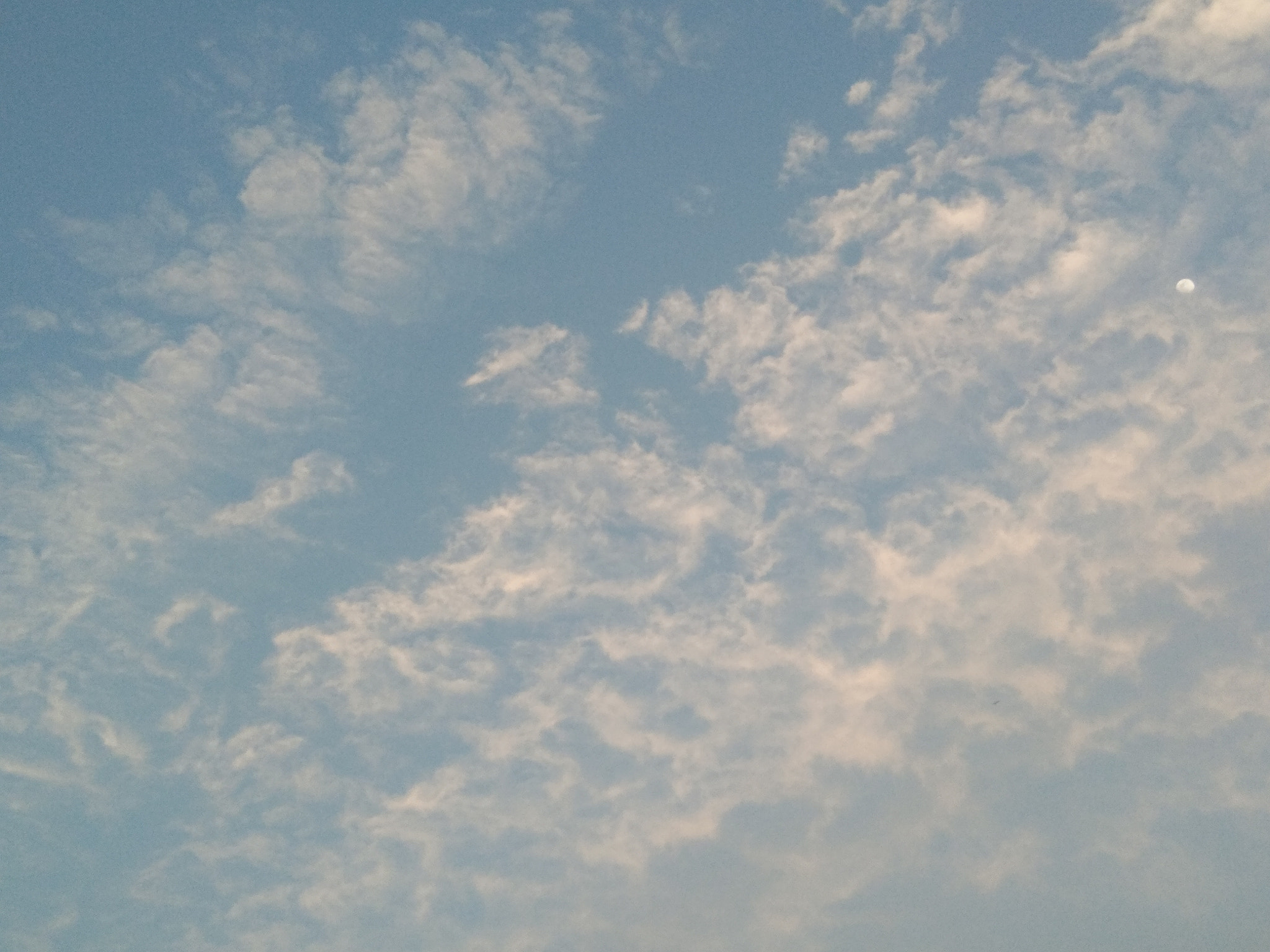 vivo Y55s sample photo. Clouds photography
