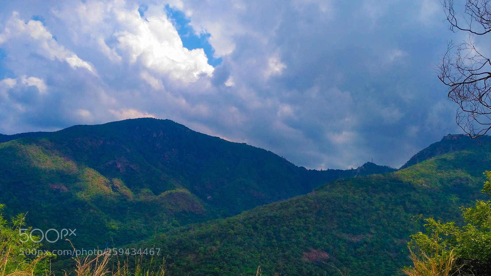 Xiaomi Redmi 3S sample photo. Untitled photography