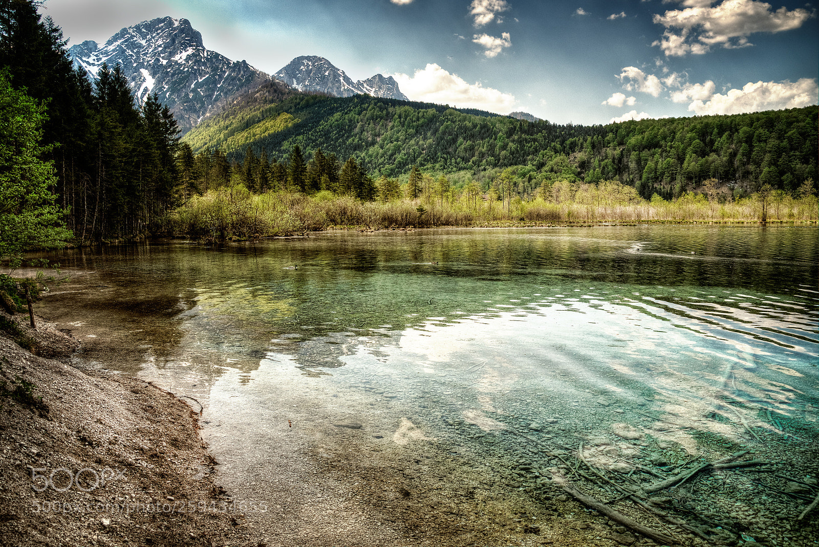 Sony SLT-A58 sample photo. Almsee photography