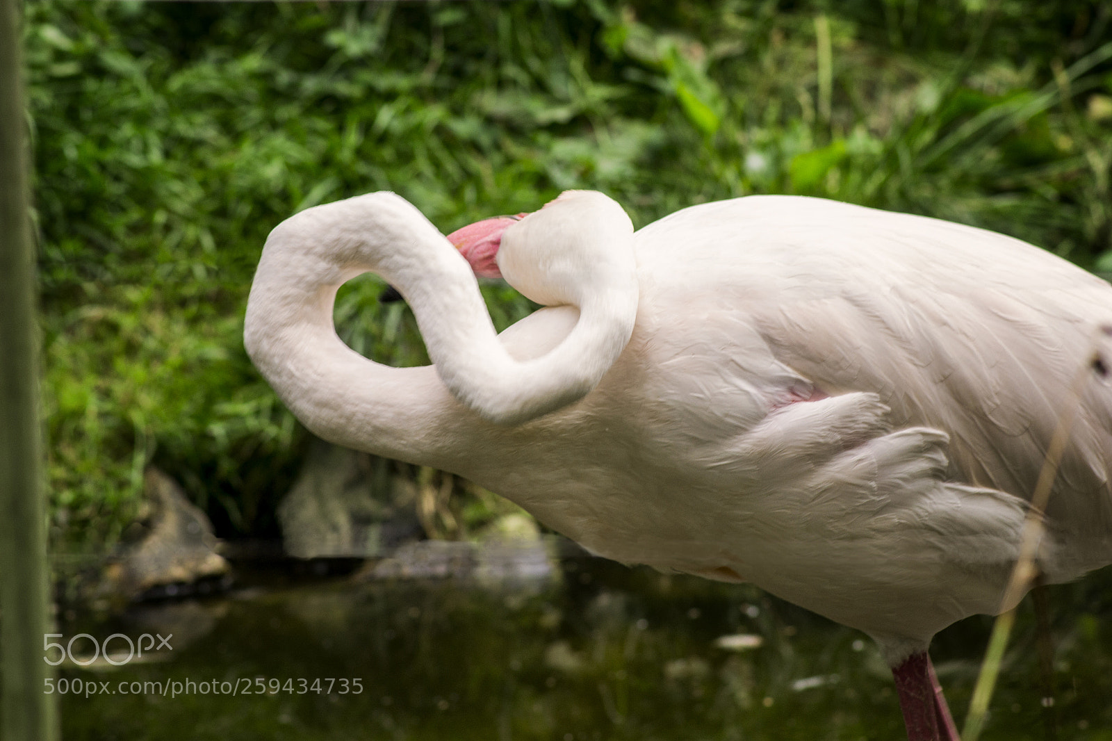 Nikon D3100 sample photo. What a pose :-d photography