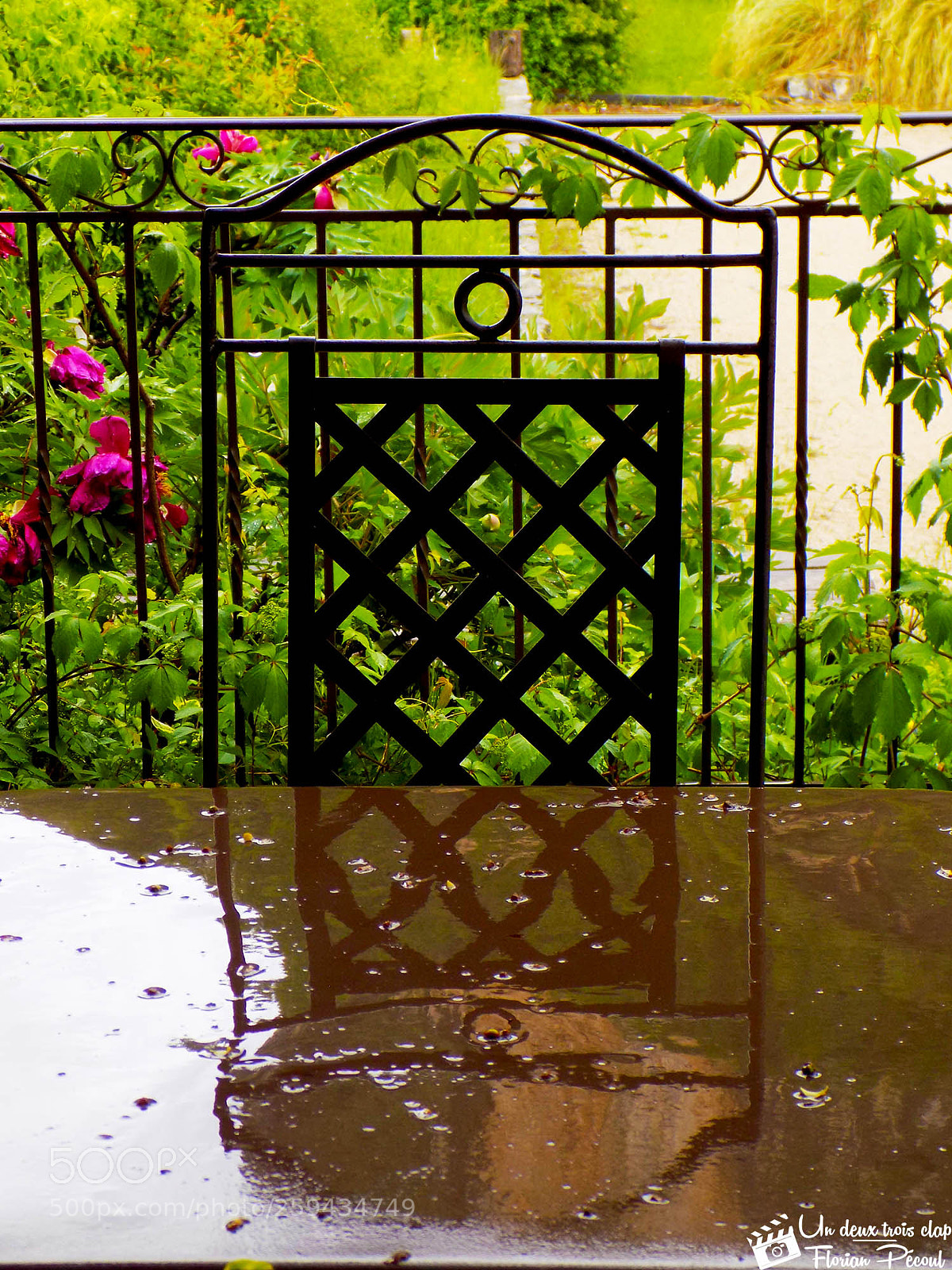 Nikon COOLPIX L330 sample photo. Rainflection photography