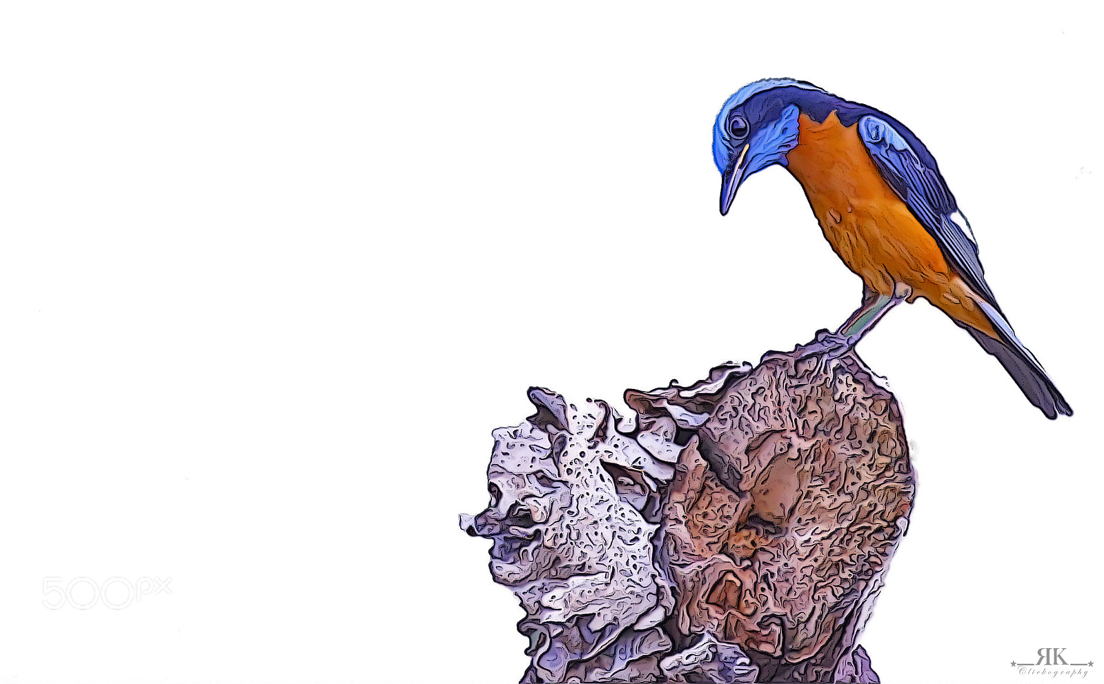 Canon EOS 70D sample photo. Blue-capped rock thrush photography