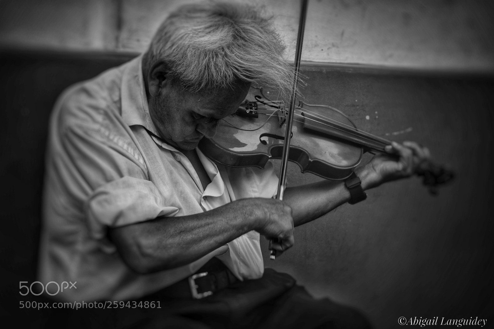 Nikon D3400 sample photo. Violinista con experiencia de photography