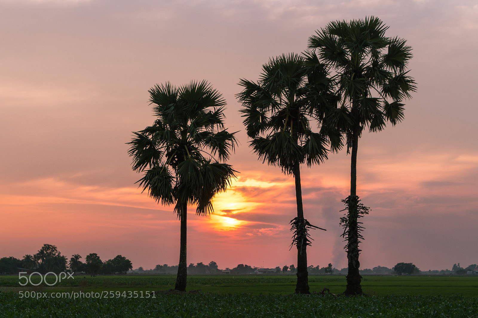 Canon EOS 700D (EOS Rebel T5i / EOS Kiss X7i) sample photo. Sunset photography