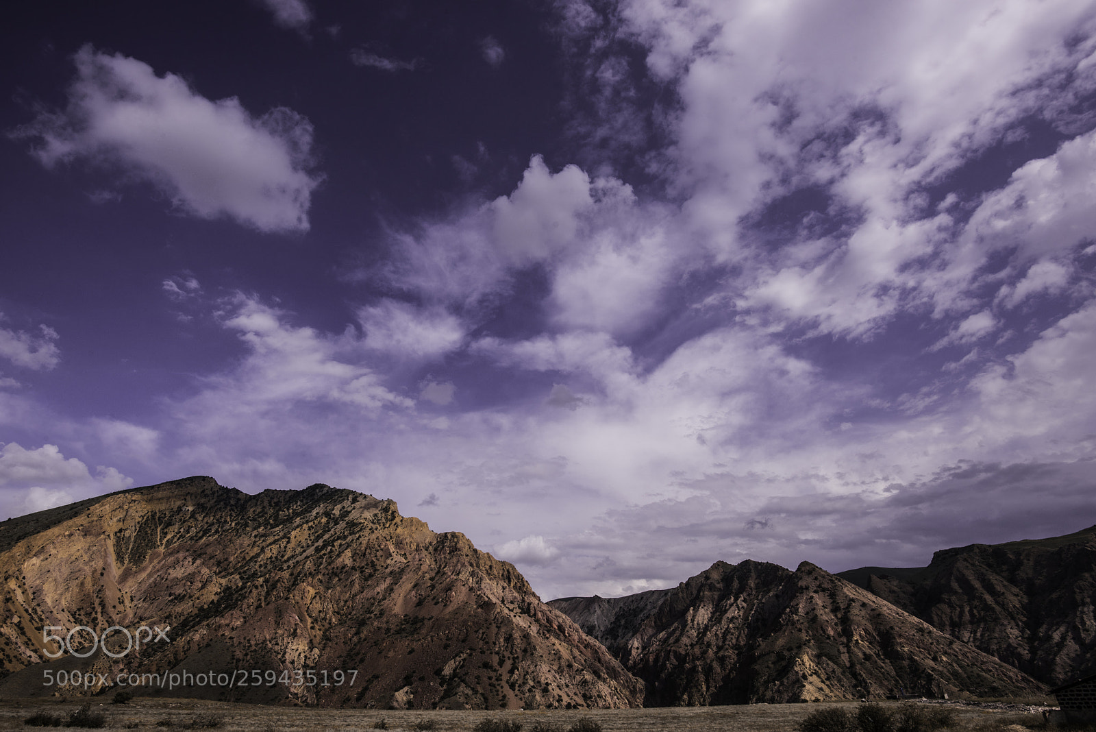 Nikon D810 sample photo. Nature photography