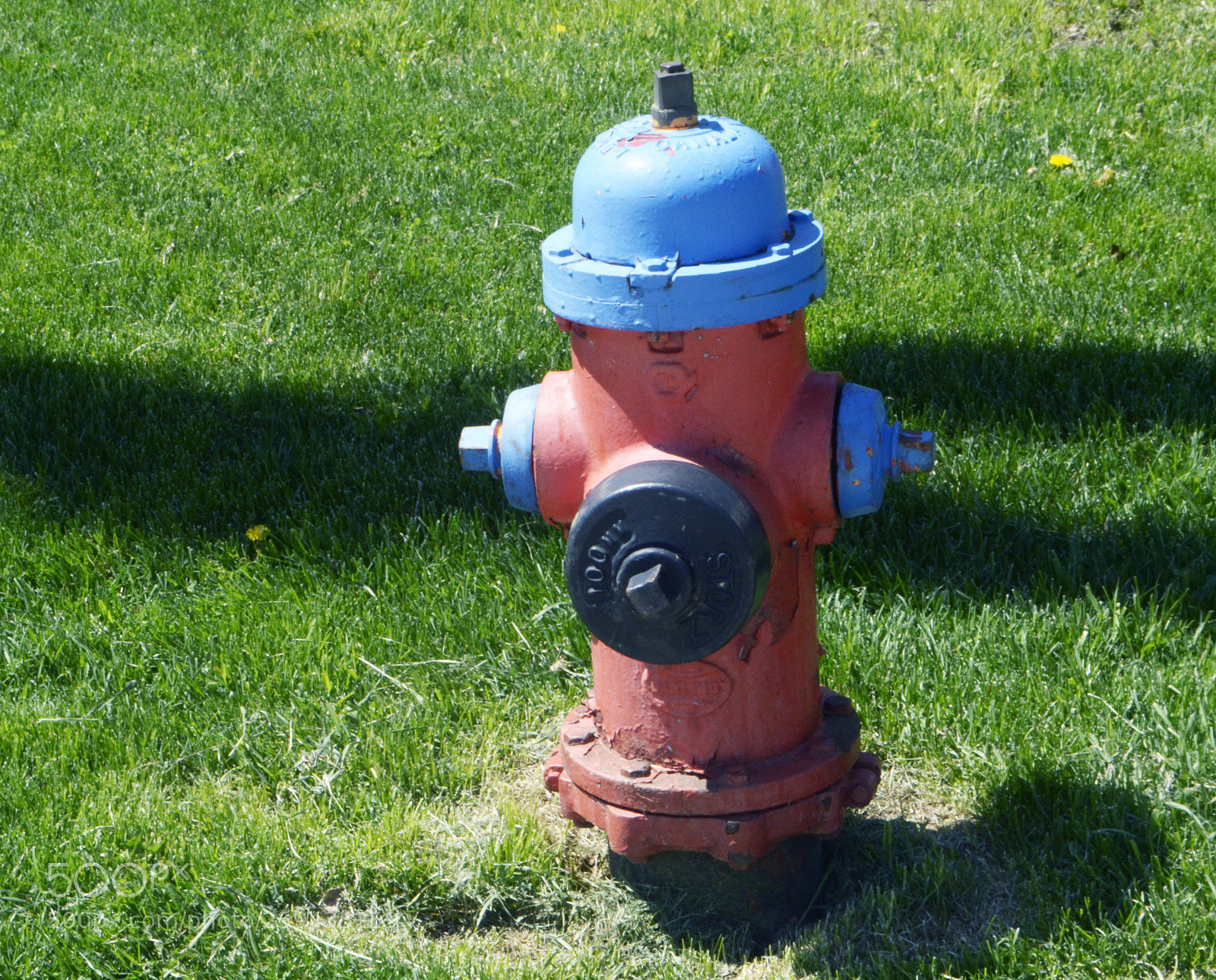 Nikon D3100 sample photo. Colour photography