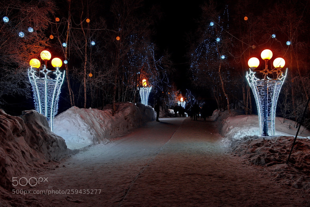 Nikon D750 sample photo. Russia. the western arctic photography
