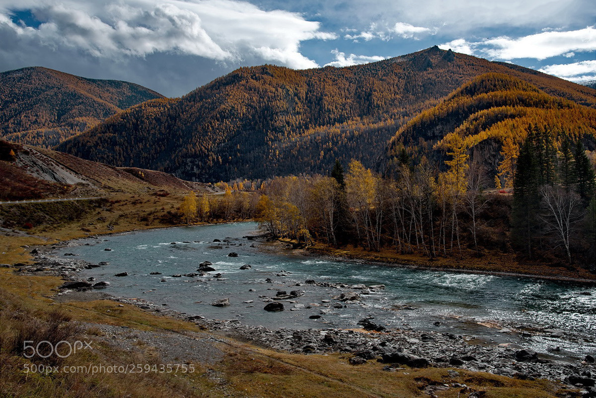 Nikon D750 sample photo. Russia. the south of photography