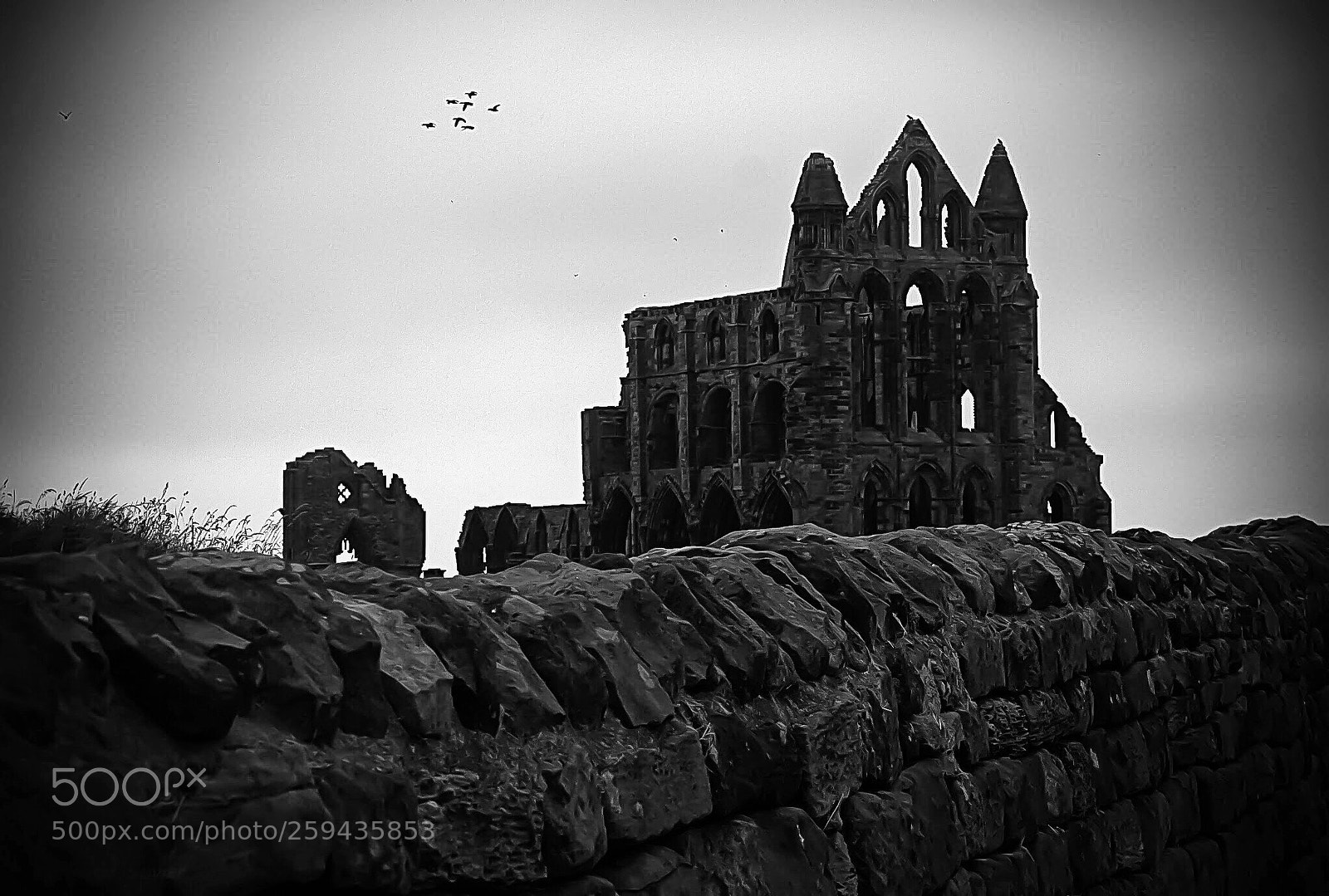 Canon EOS 60D sample photo. Whitby  photography