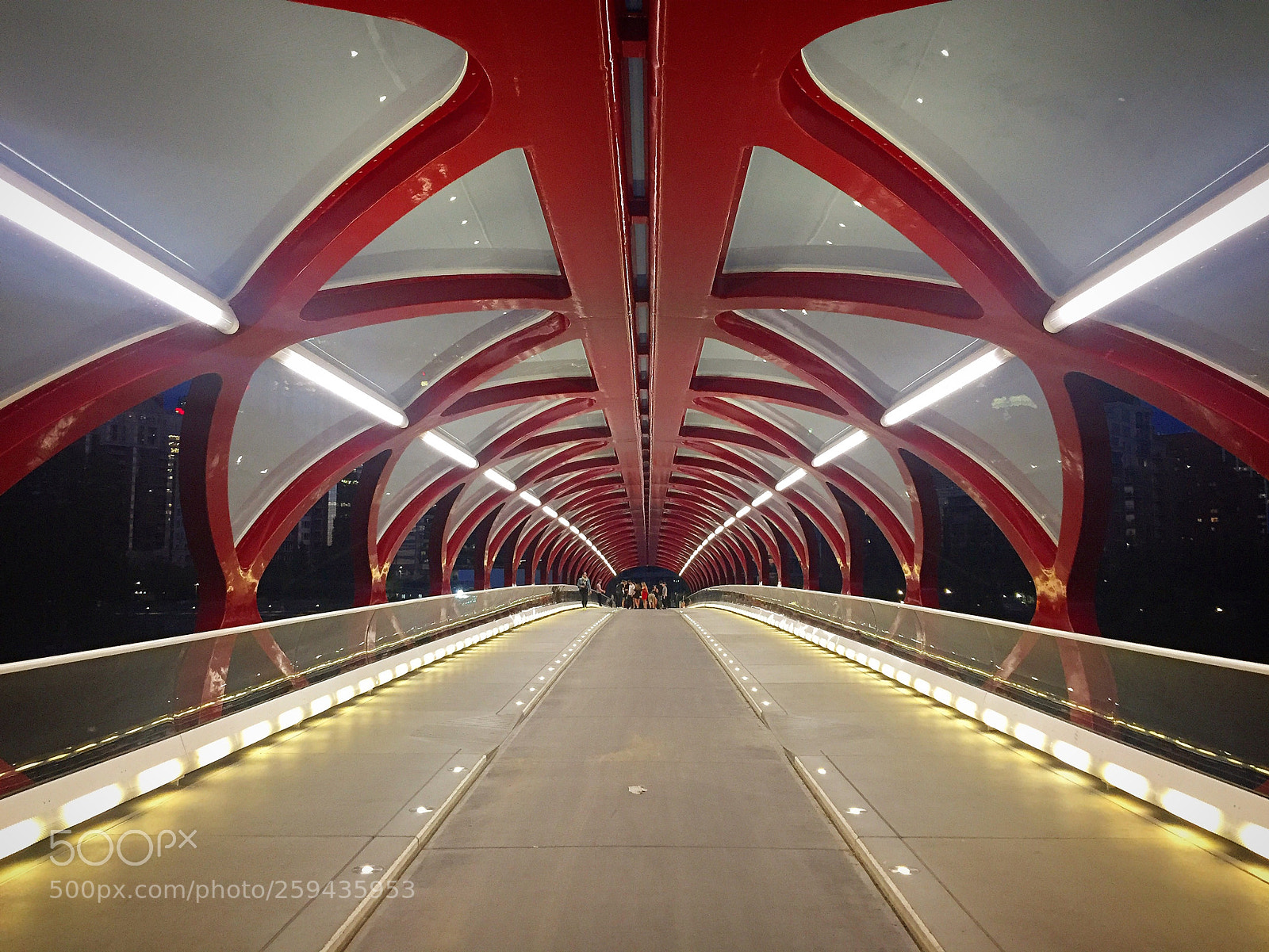 Apple iPhone 6 sample photo. Peace bridge photography