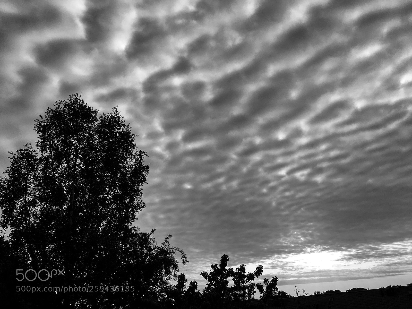 Apple iPhone 6s sample photo. Cloudy sky photography