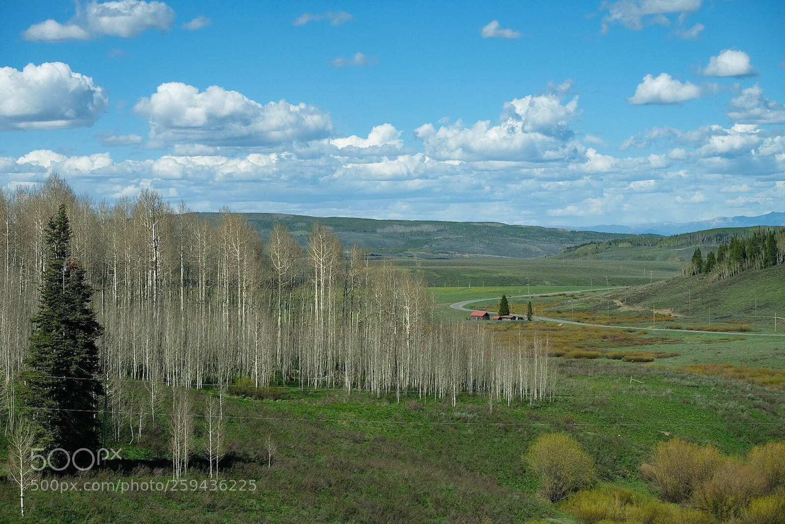 Fujifilm X-H1 sample photo. Road view, co photography
