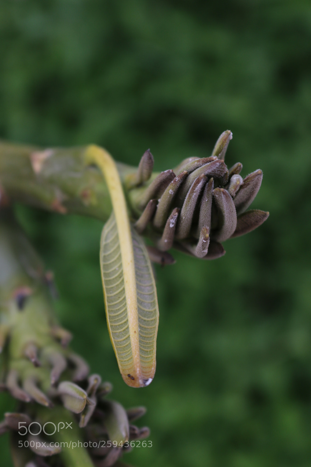 Canon EOS 70D sample photo. Untitled photography
