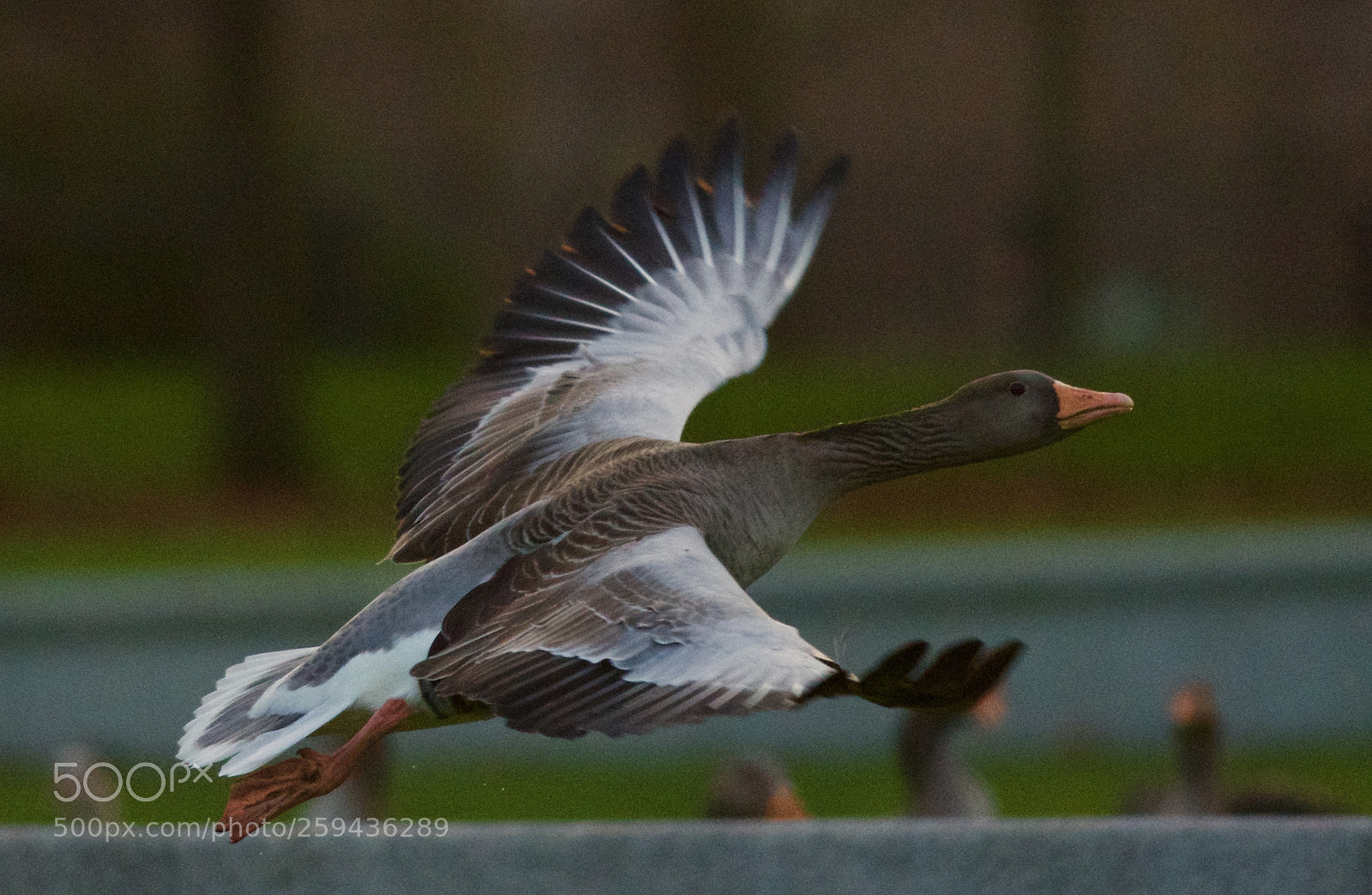 Nikon D500 sample photo. End of the day photography