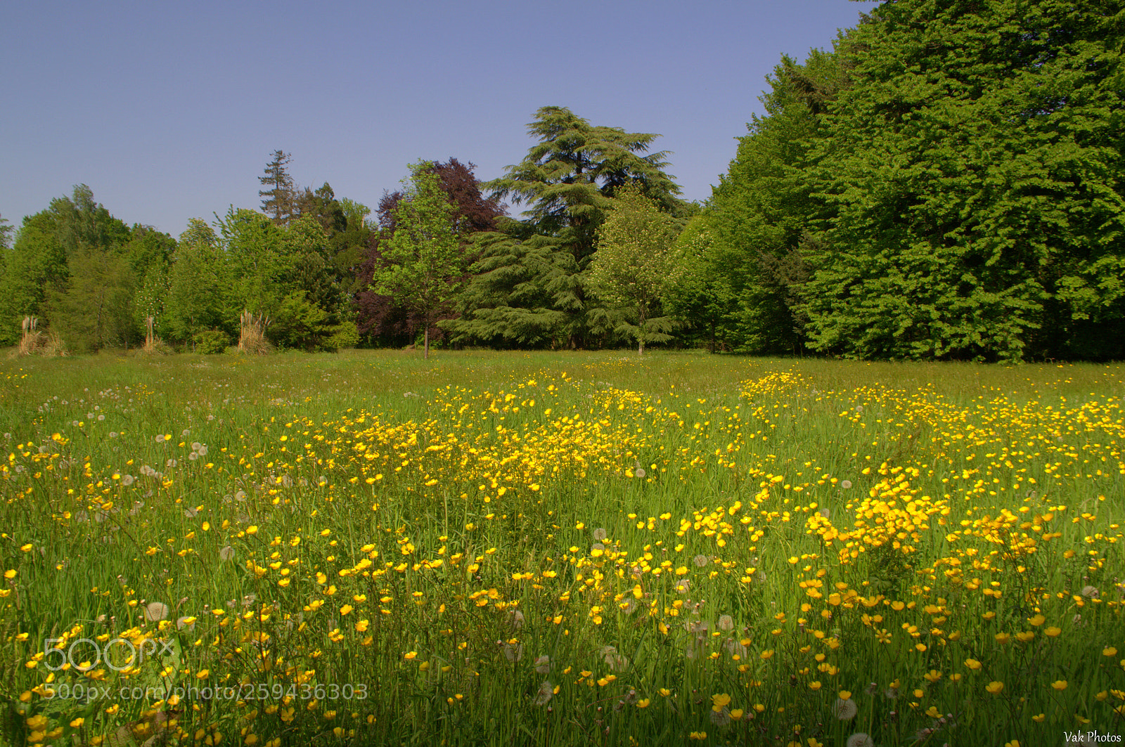 Nikon D3100 sample photo. Spring photography