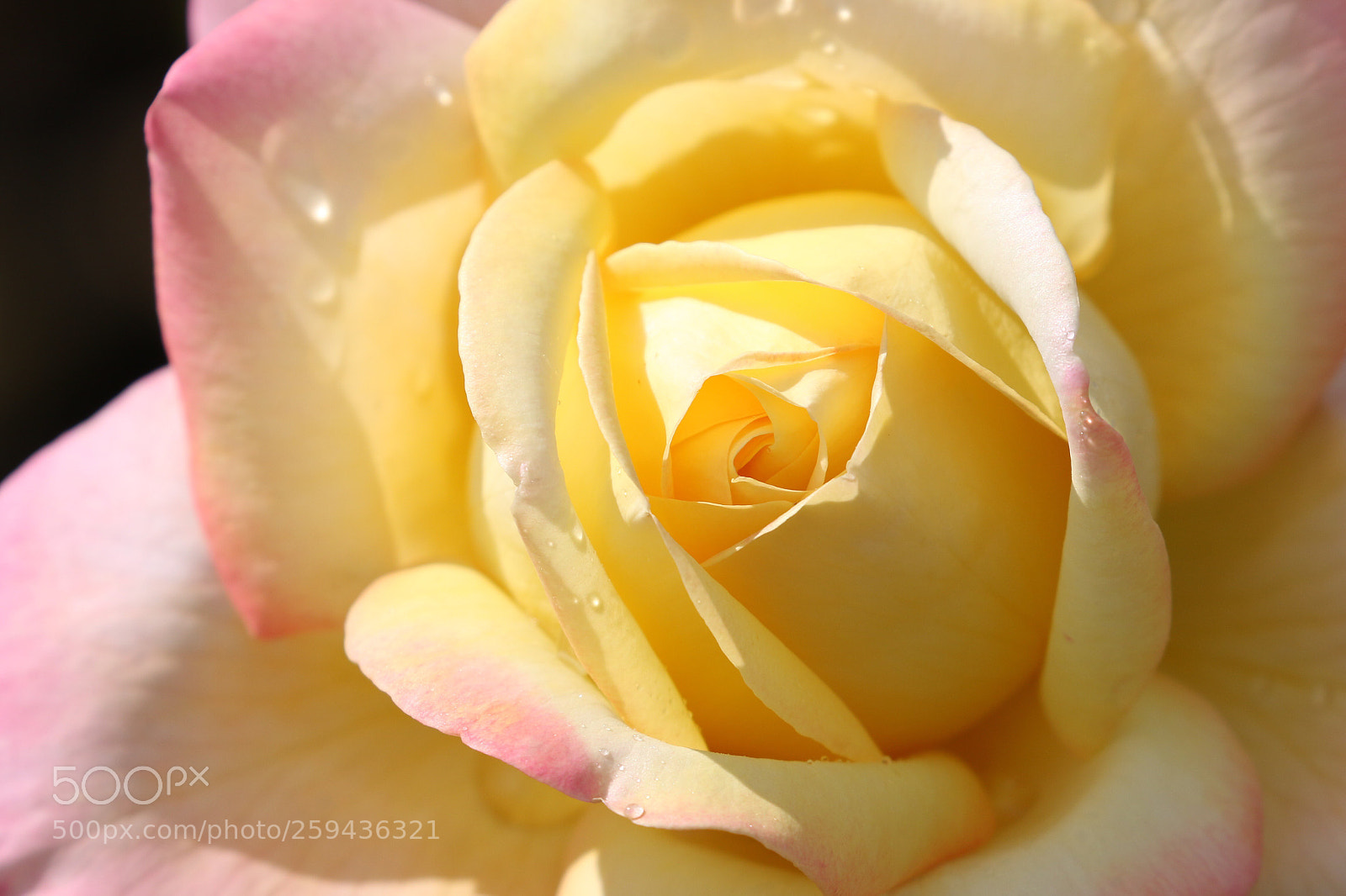 Canon EOS 70D sample photo. Untitled photography