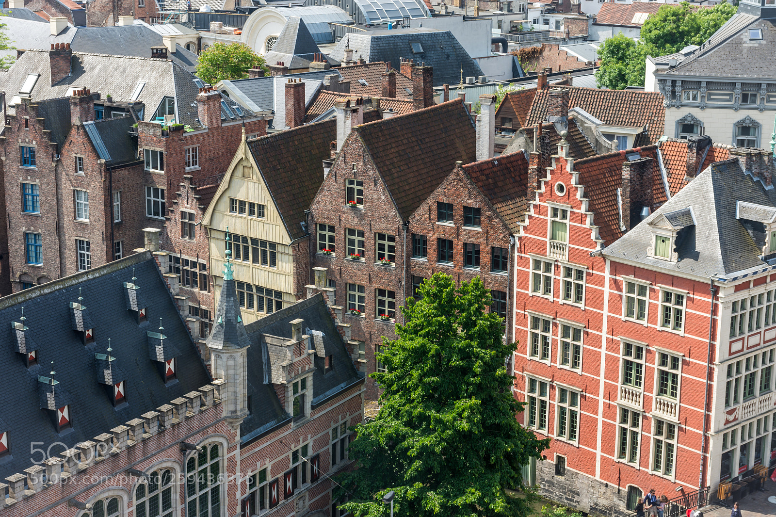 Nikon D7200 sample photo. Picturesque houses in ghent photography