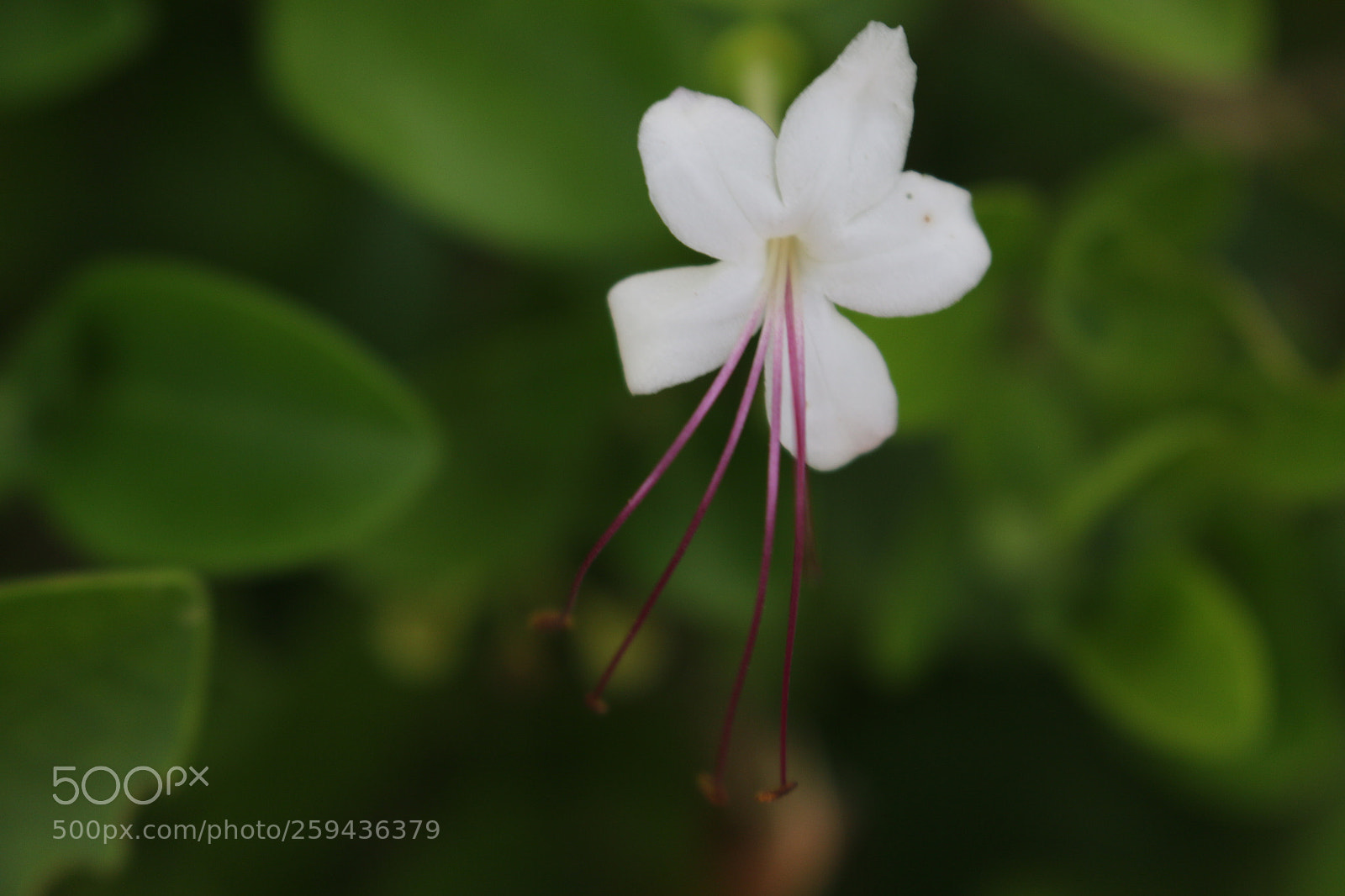 Canon EOS 70D sample photo. Untitled photography