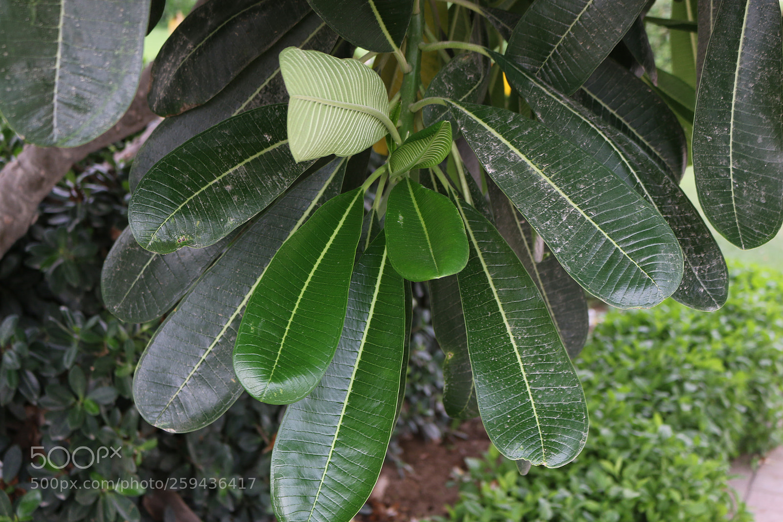 Canon EOS 70D sample photo. Untitled photography