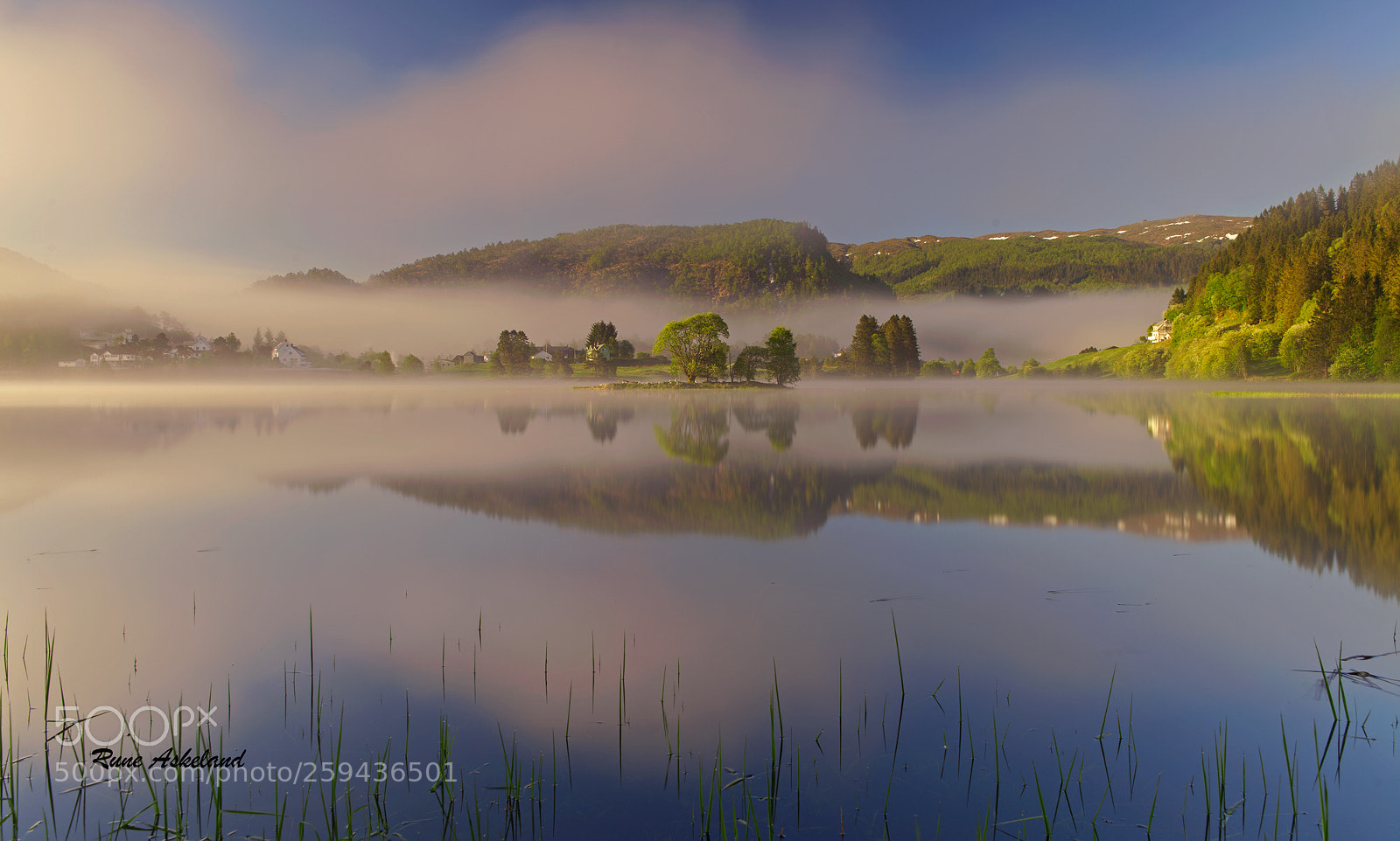 Canon EOS 5D Mark II sample photo. Morning fog photography