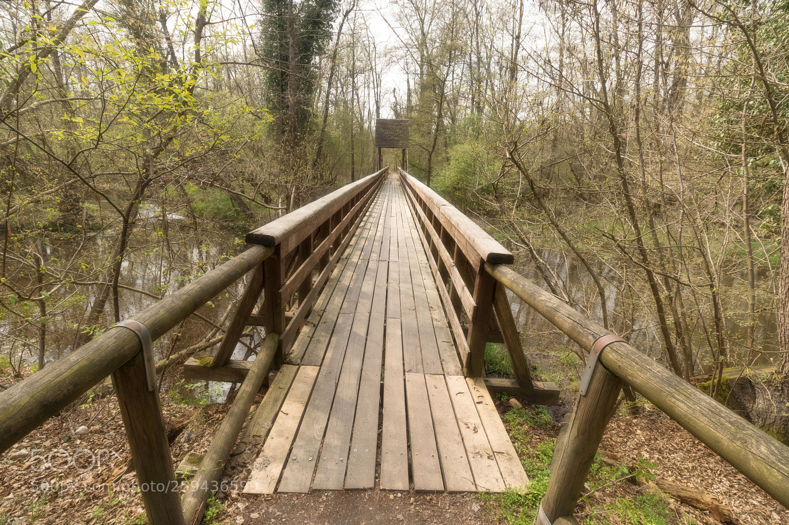 Canon EOS 80D sample photo. Wooden bridge photography