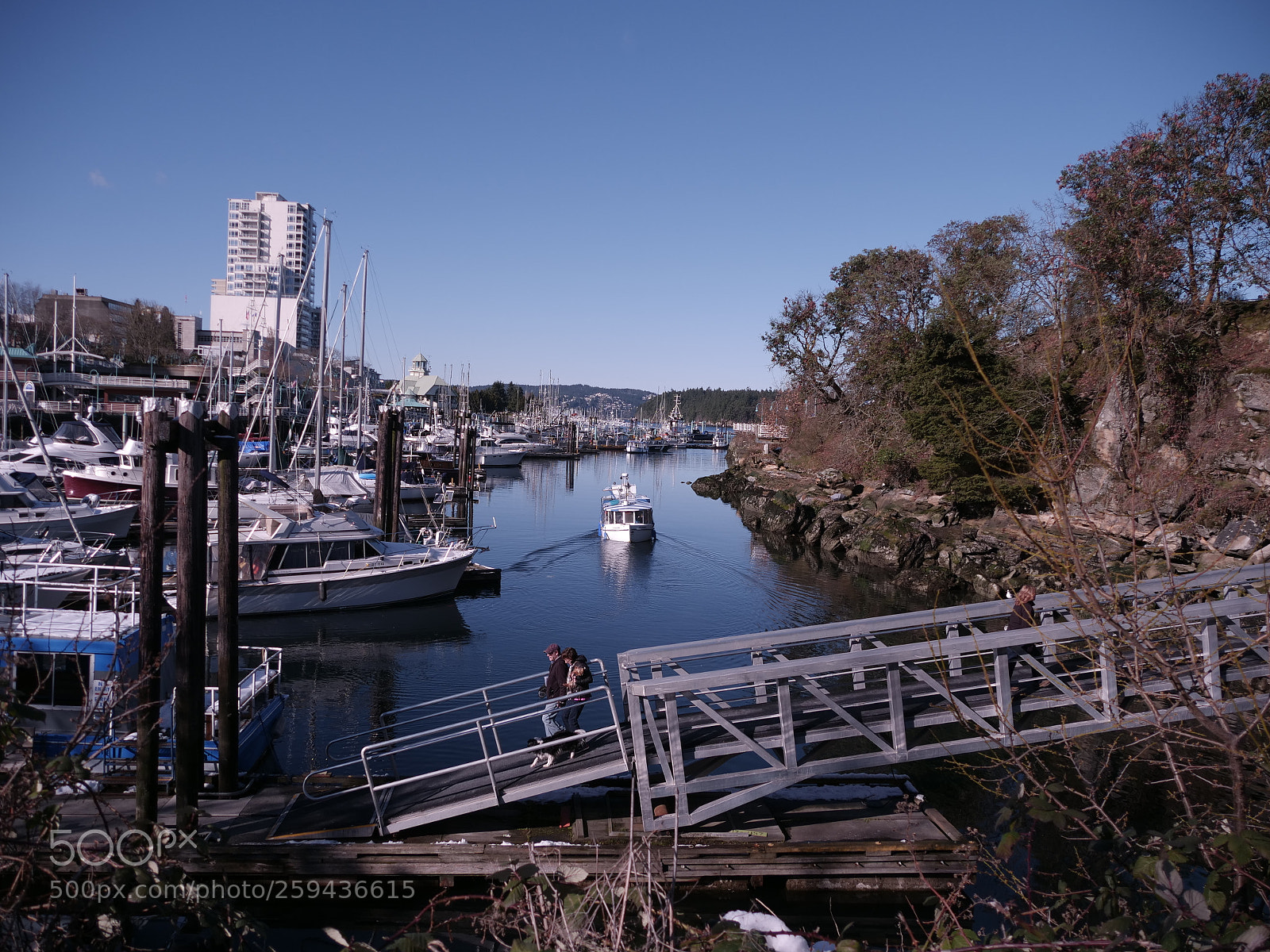 Panasonic Lumix DC-GH5 sample photo. Rjm photography