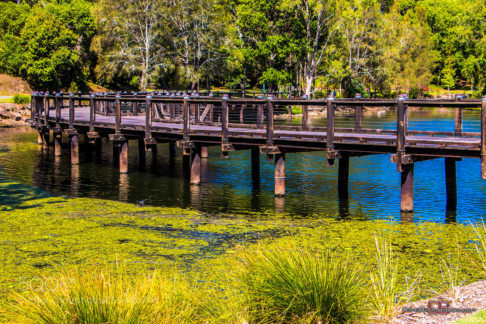 Canon EOS 70D sample photo. Garders photography