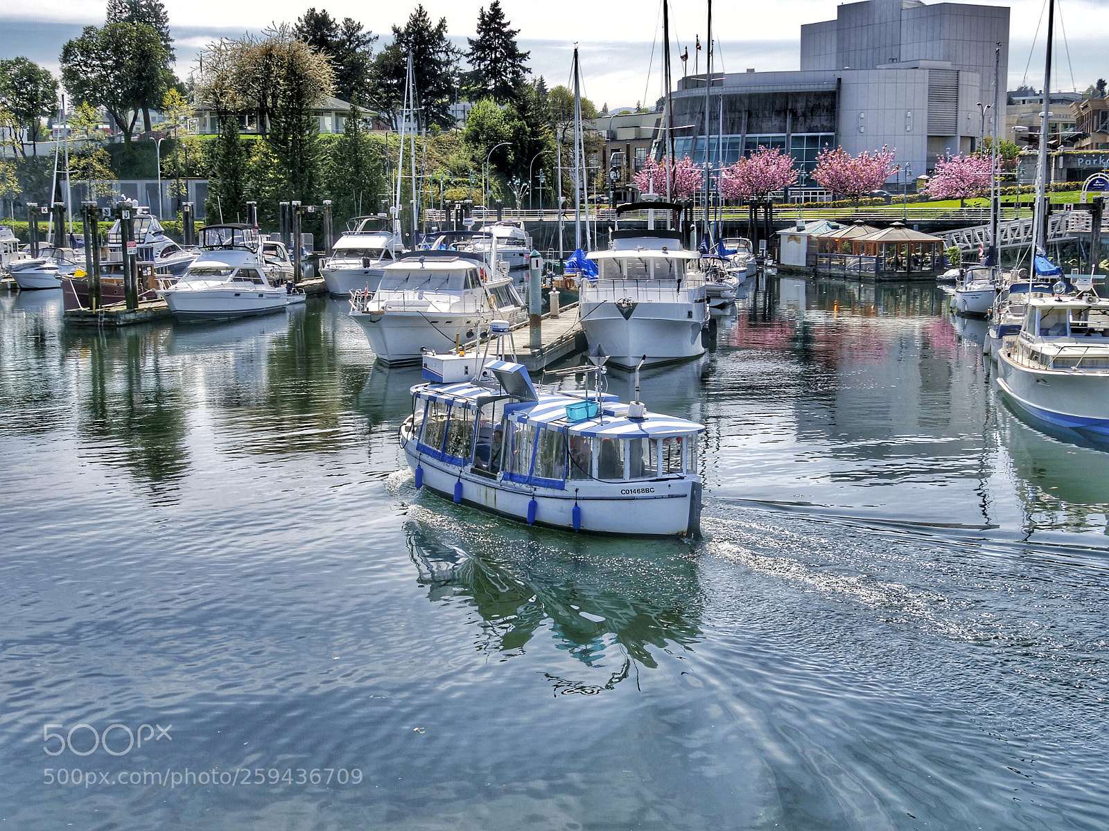 Panasonic Lumix DC-GH5 sample photo. 2018-04-27 14.14.17.jpeg photography