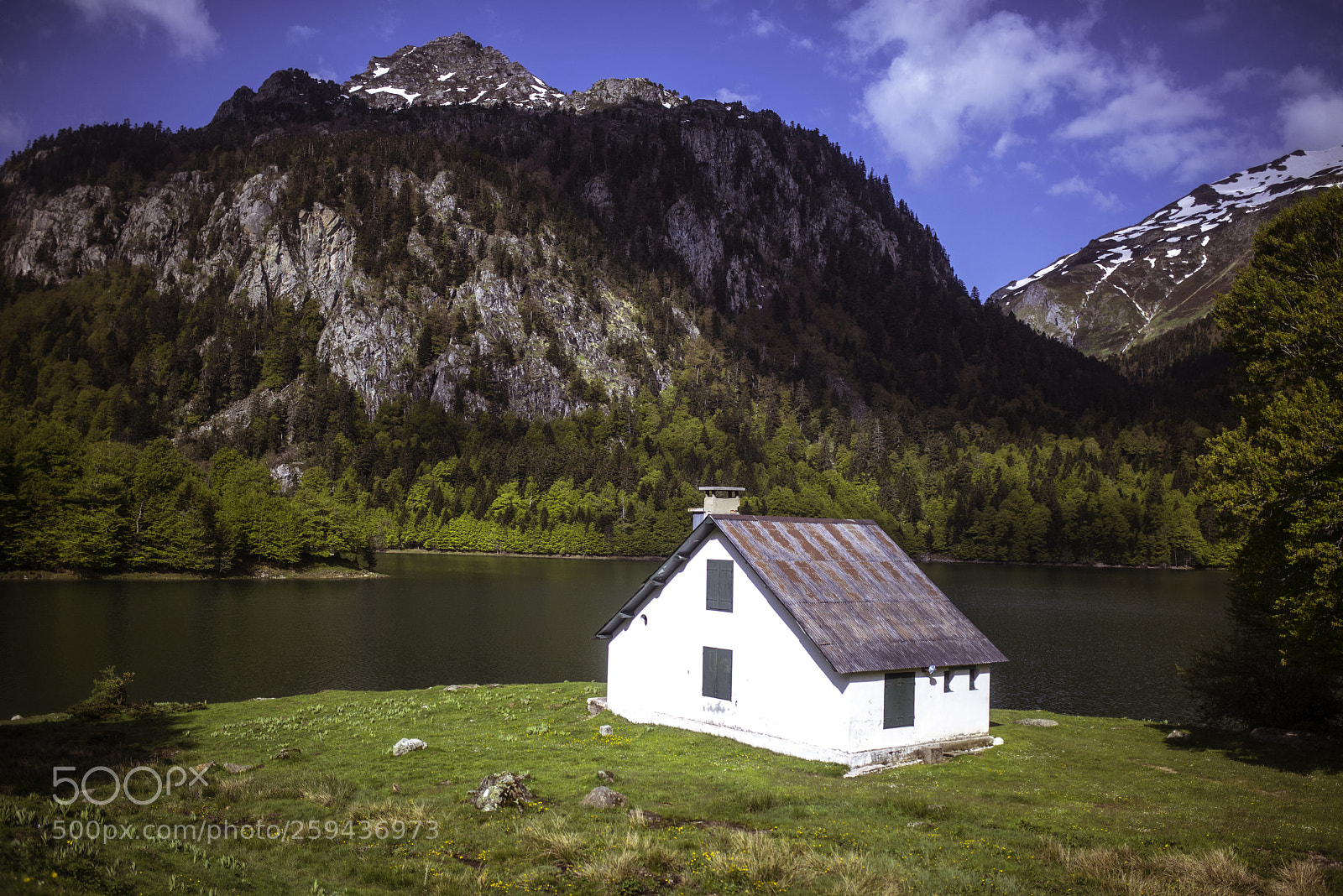 Nikon D810 sample photo. La maison au bord photography
