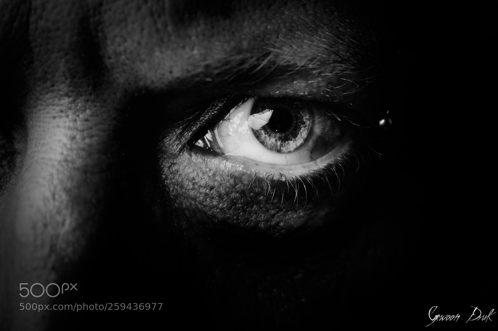Nikon D5600 sample photo. The man who saw photography