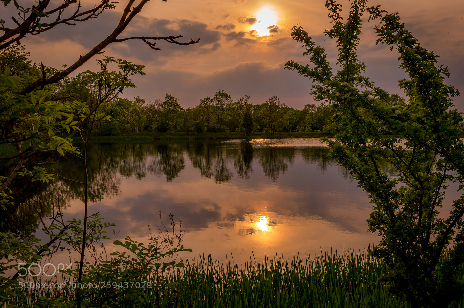 Nikon D3200 sample photo. Lakeside view at sunset photography