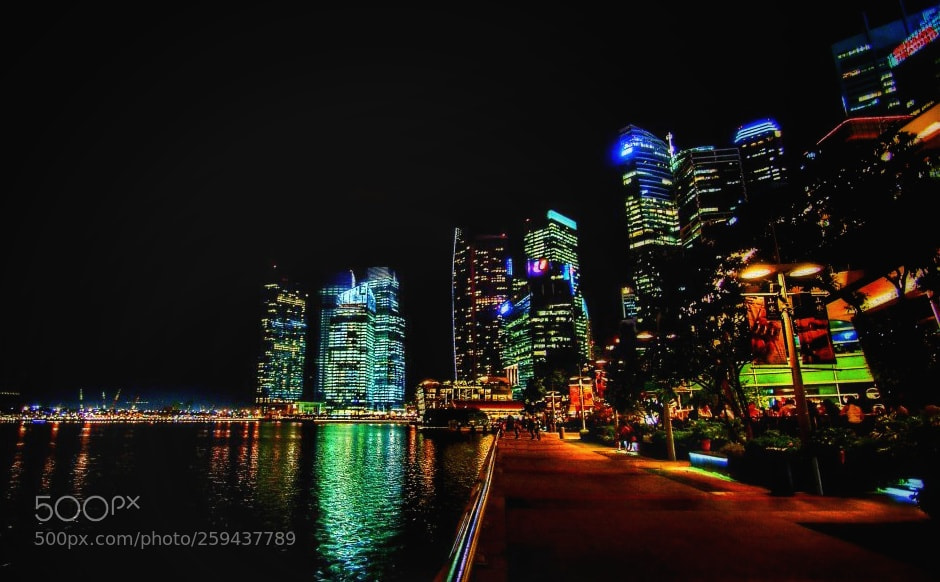 Sony Alpha DSLR-A230 sample photo. Merlion park @night photography