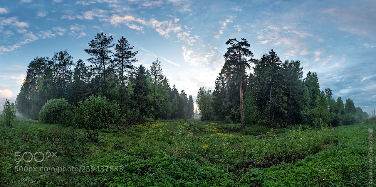 Sony a7R III sample photo. 004.jpg photography