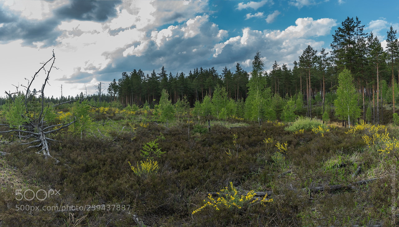 Sony a7R III sample photo. 005.jpg photography