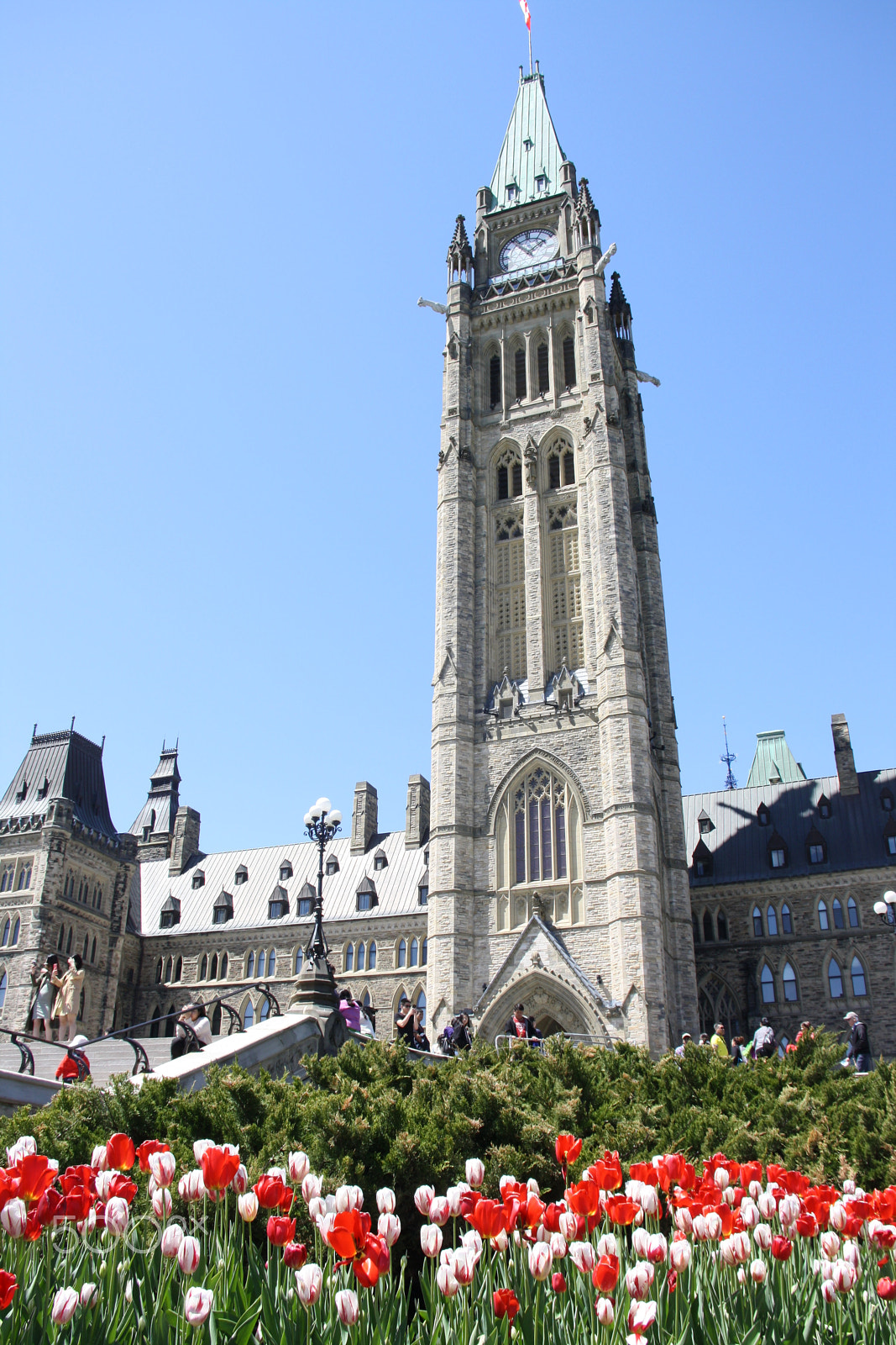 Sigma 18-50mm f/3.5-5.6 DC sample photo. Peace tower photography