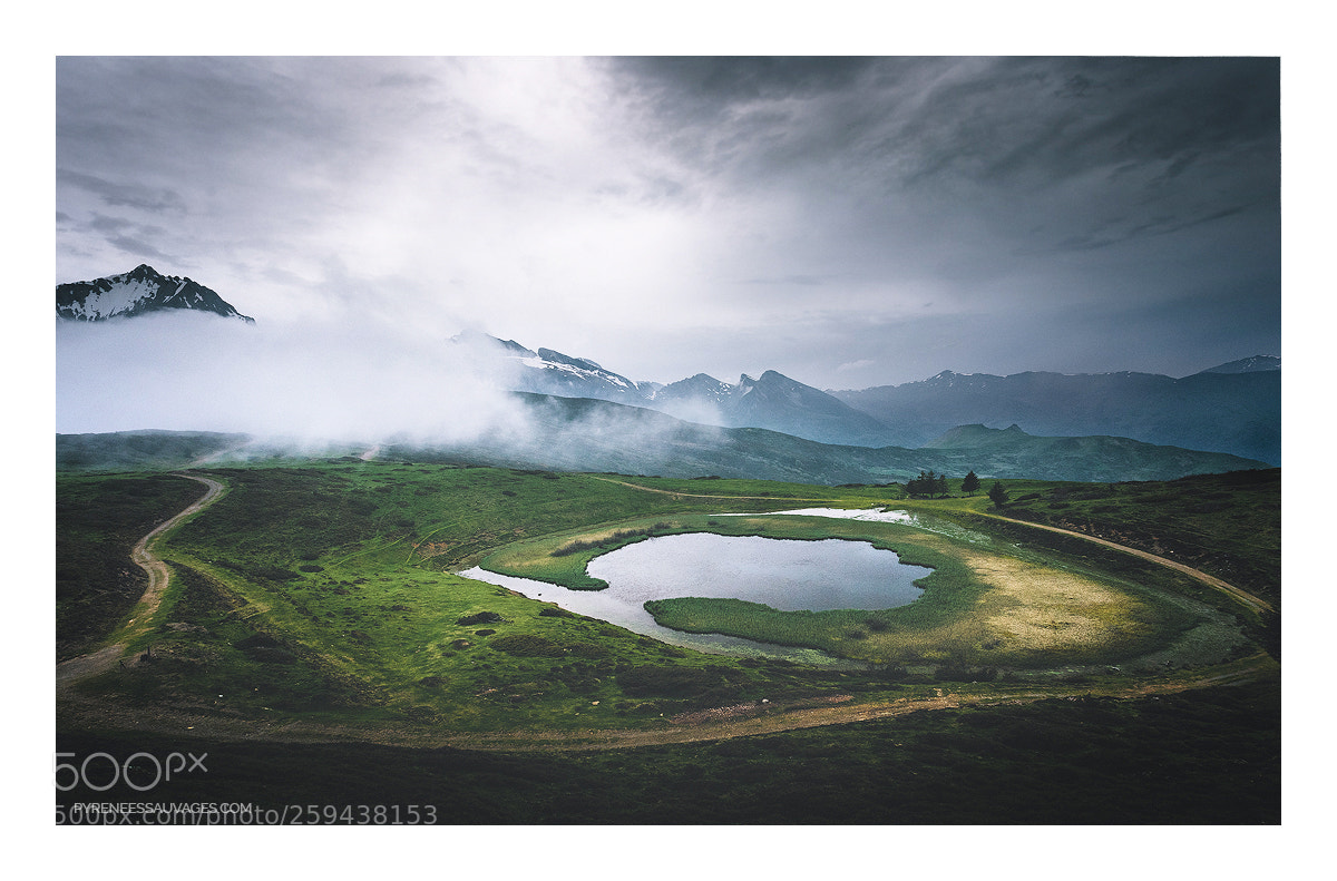 Canon EOS 5D Mark IV sample photo. Greenlands photography