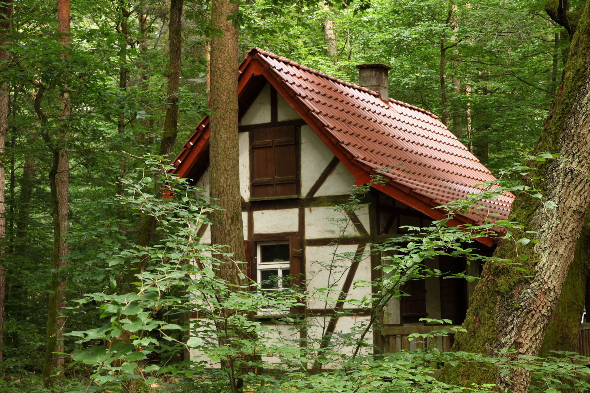 Canon EOS 5D Mark II sample photo. The forest house photography