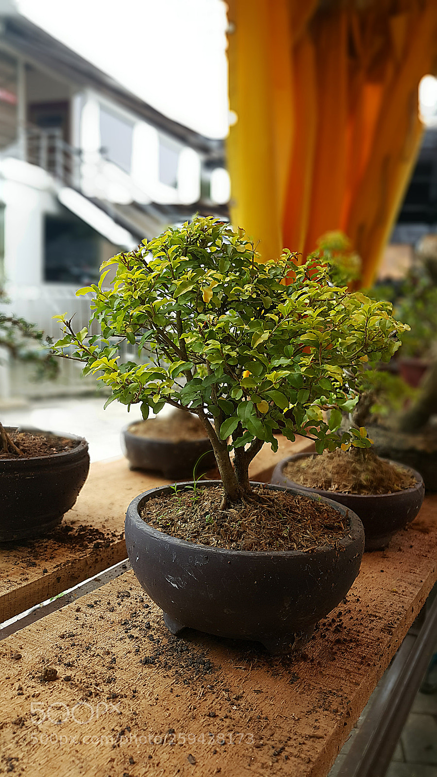 Samsung Galaxy Note4 sample photo. Untitled photography