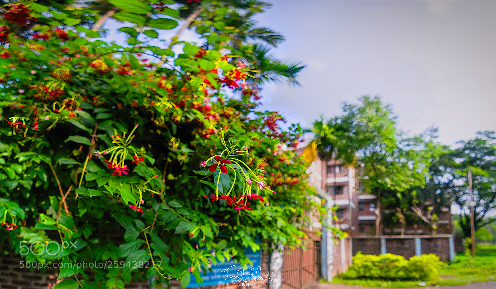 Nikon D7100 sample photo. Jahanara imam hall, sust photography