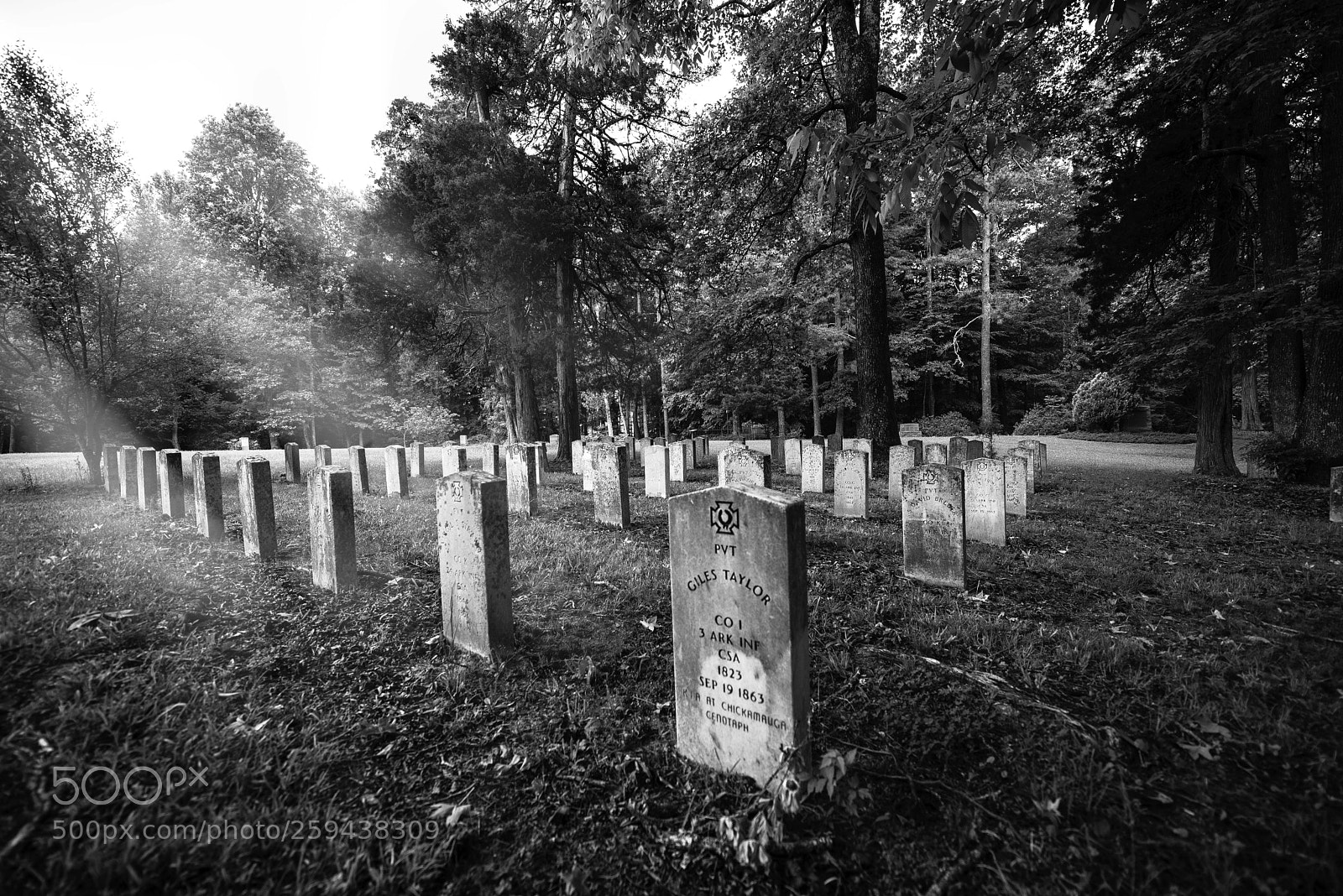 Nikon D750 sample photo. Confederate cemetery photography