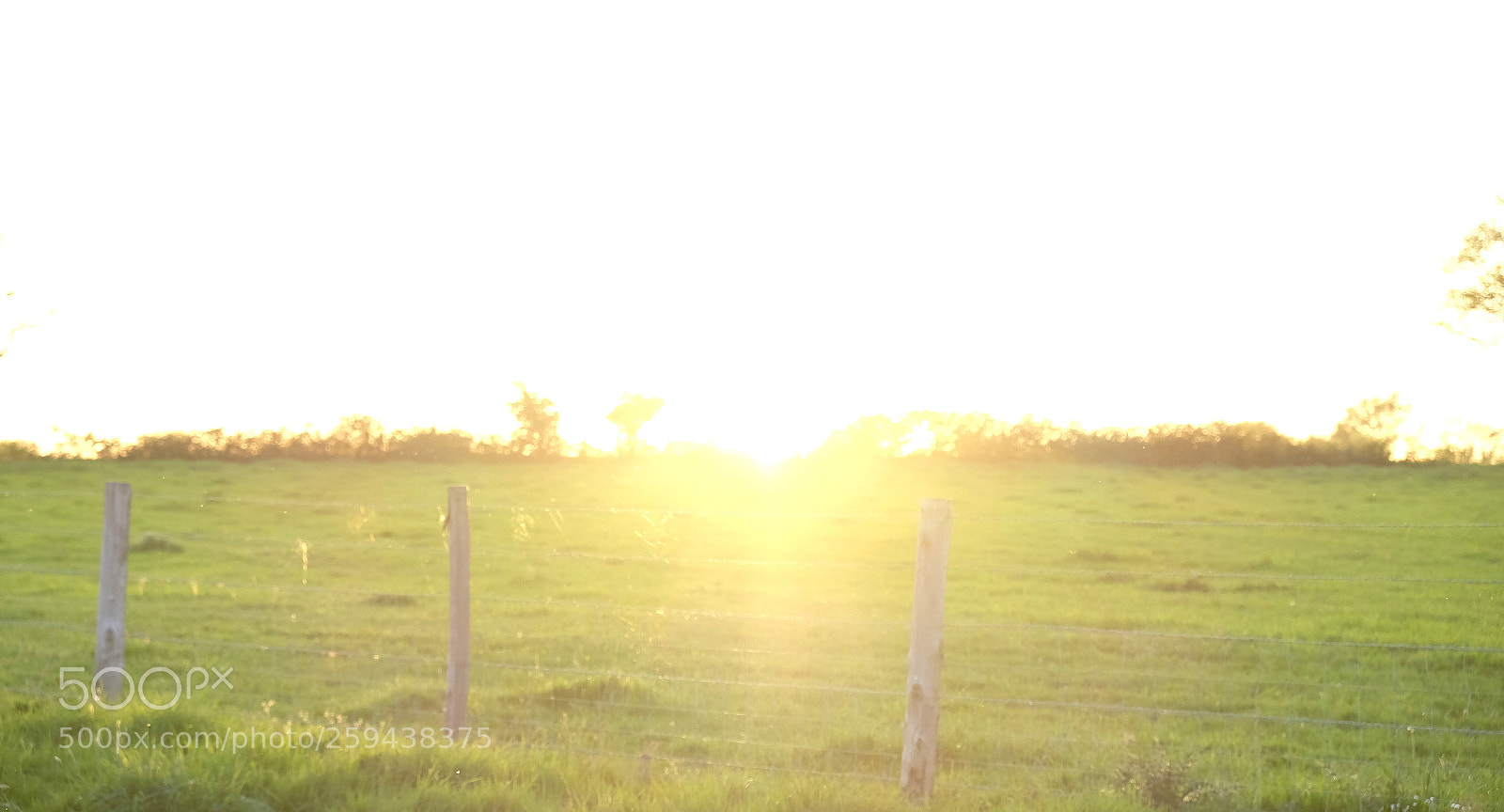 Fujifilm X-T10 sample photo. The doors photography
