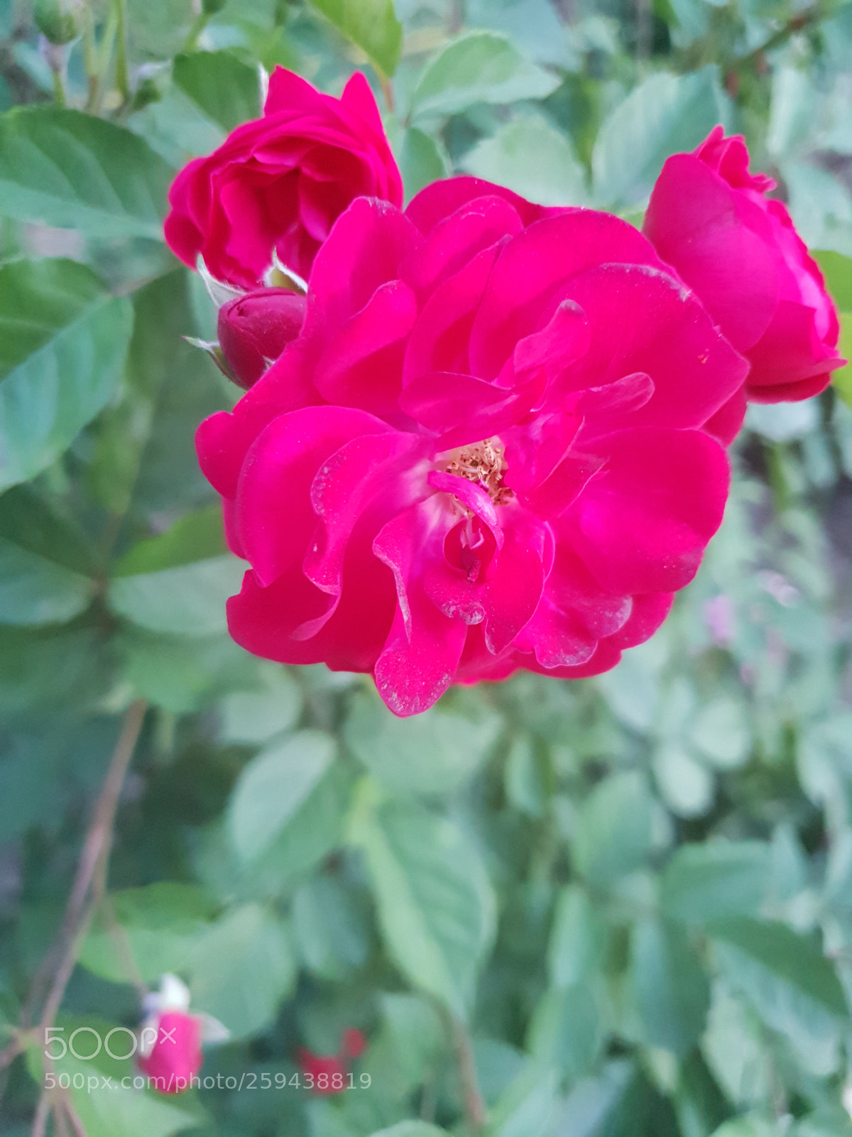 Samsung Galaxy S9 sample photo. Untitled photography