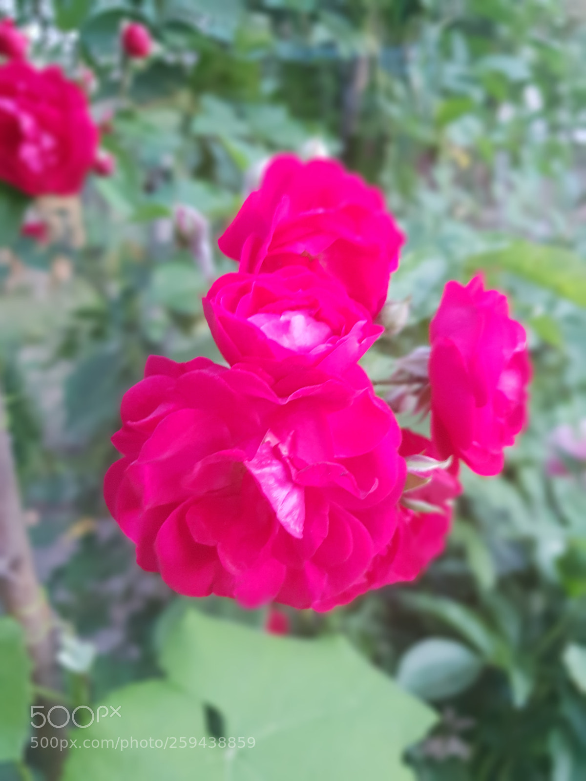 Samsung Galaxy S9 sample photo. Untitled photography